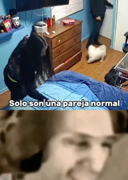 La parejitas normal del salón resulto terrible + video 8